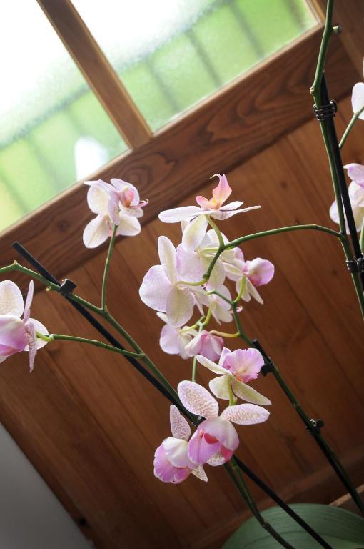 Les Songes De L'Abbaye Bed and Breakfast Cadouin Rum bild